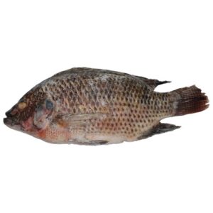Frozen Tilapia 500/800 (Medium) Box 2kg