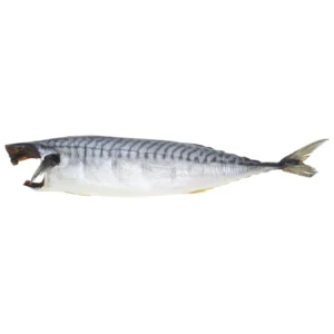 Mackerel - Head-off (Small)