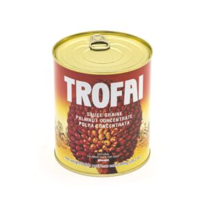 Trofai Palm Fruit 800g