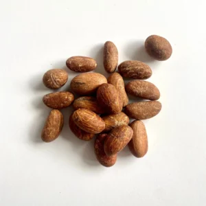 Kola nut - E