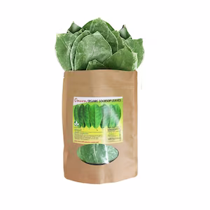 Soursop leaves10g x 10