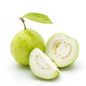 Guava - White