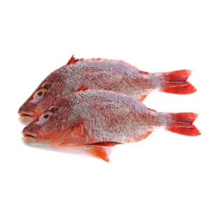 Red Bream Fish (Uncut/Uncleaned) Headles