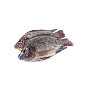 SALTED TILAPIA KOBI 2.5KG