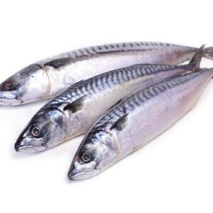 Mackerel (Titus) 20kg
