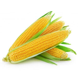 Fresh Sweet Corn1 x 30