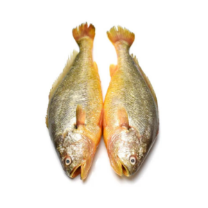 Yellow Croaker 2.5kg